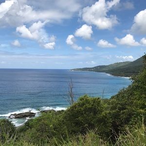 Meet your Posher, Isabel